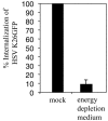 FIG. 5.