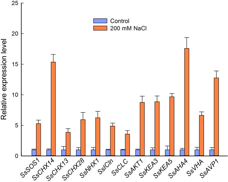 FIGURE 7