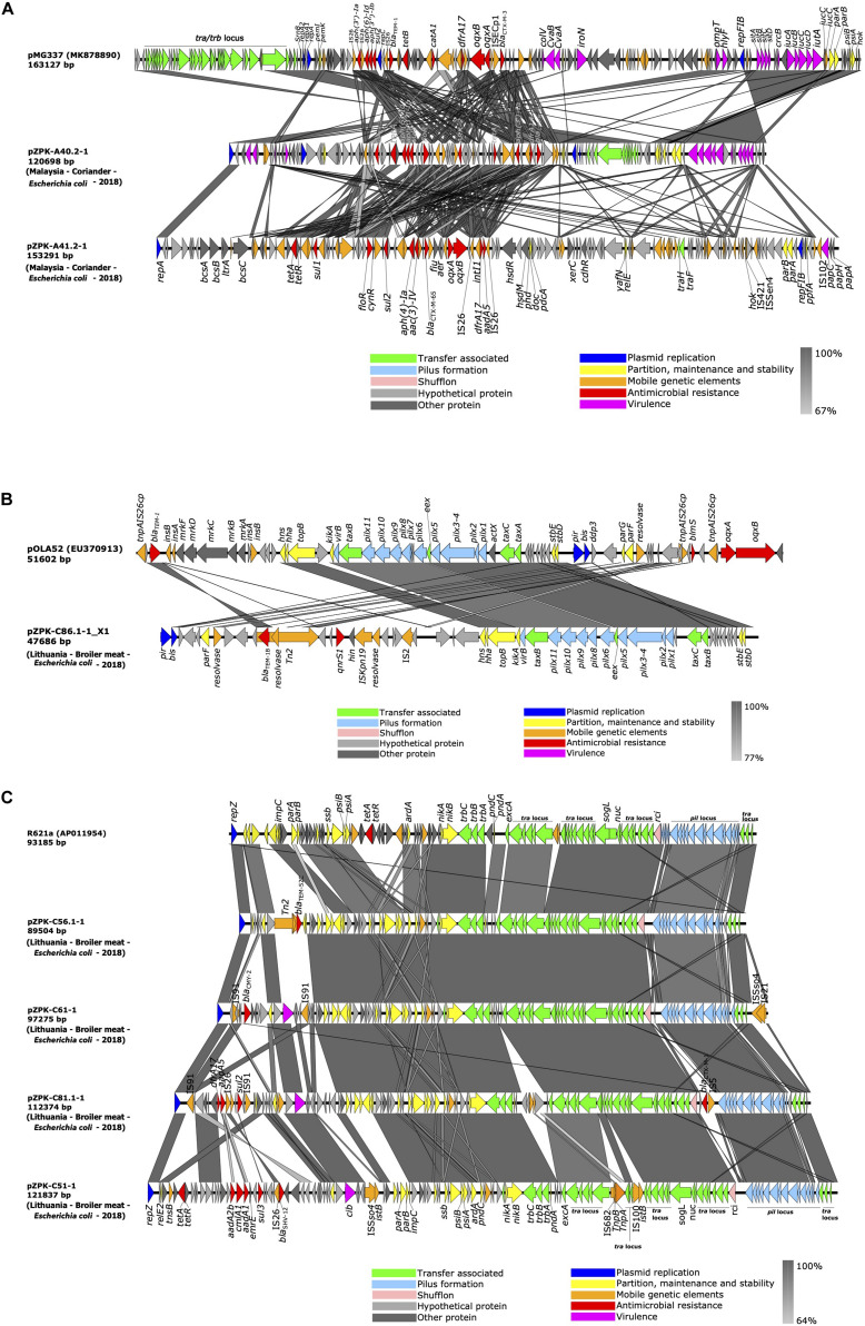 FIGURE 3