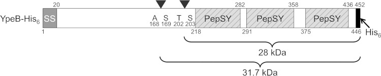 FIG 2