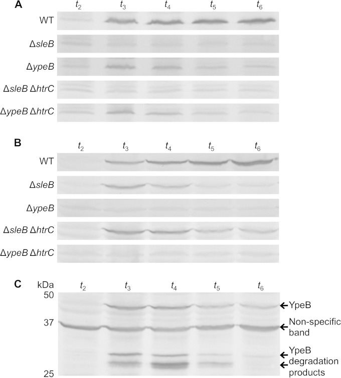 FIG 9