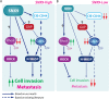 FIGURE 7: