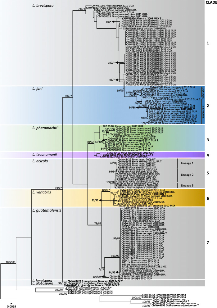 Fig. 2