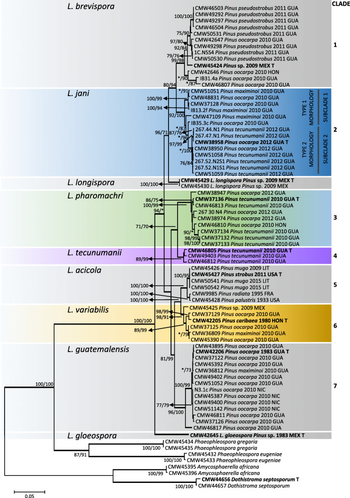 Fig. 1