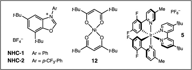 graphic file with name nihms-1850486-f0002.jpg