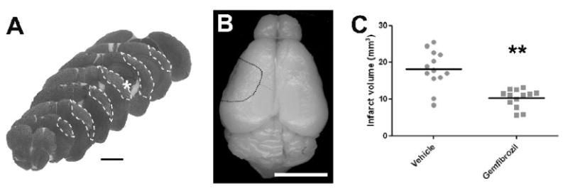 Fig.4