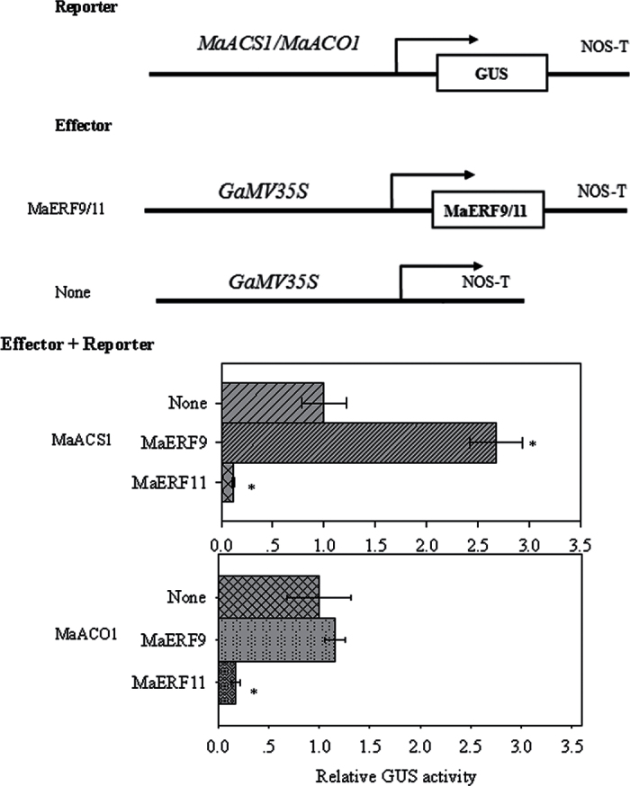 Fig. 5.