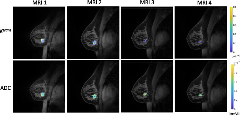 Fig. 2