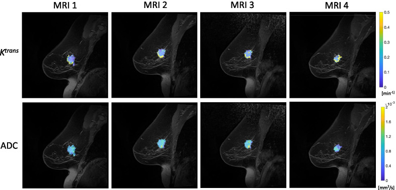 Fig. 3