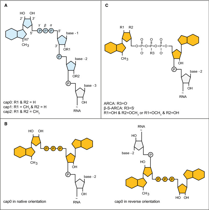 Fig. 4