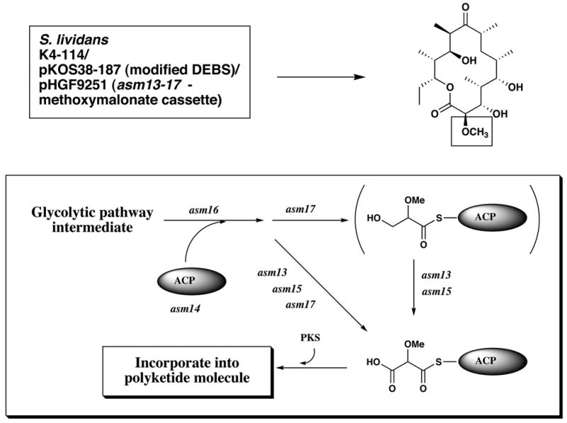 Figure 12