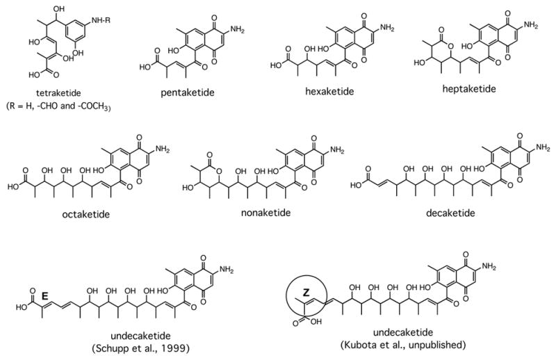 Figure 10