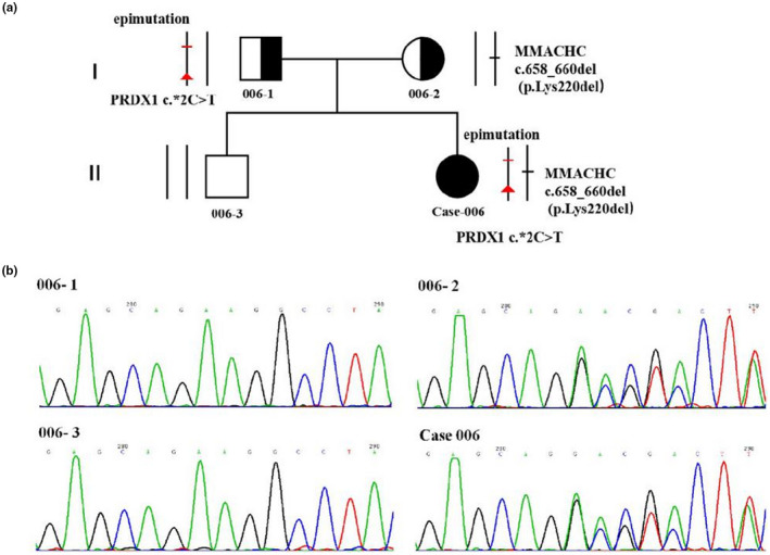 FIGURE 1