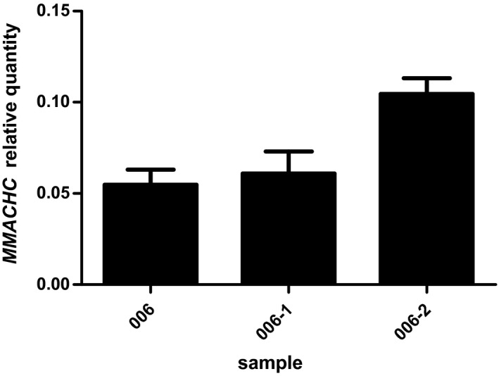 FIGURE 5