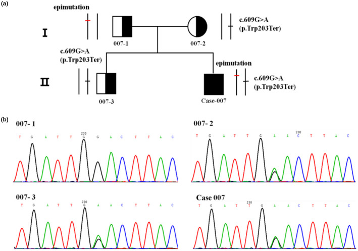 FIGURE 2