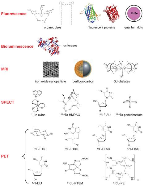 Fig. (1)