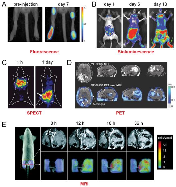 Fig. (2)