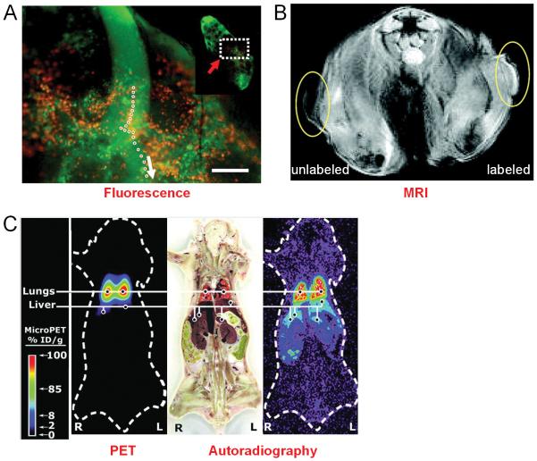 Fig. (4)