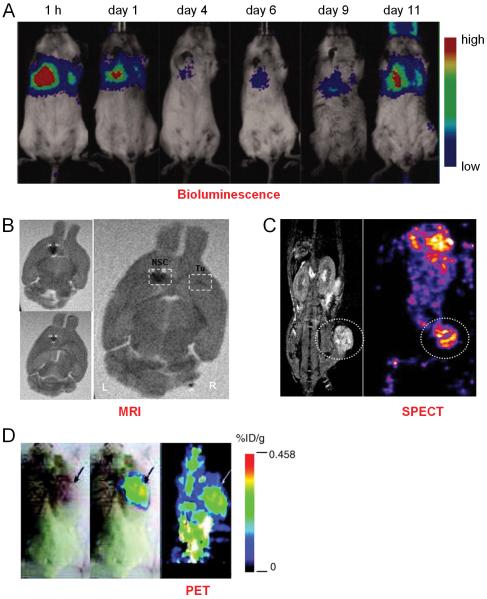 Fig. (3)