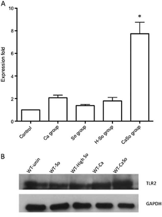 Fig 9