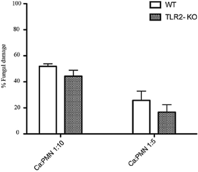 Fig 12