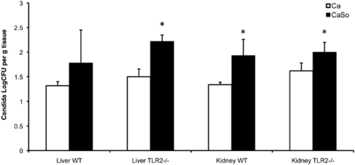 Fig 13