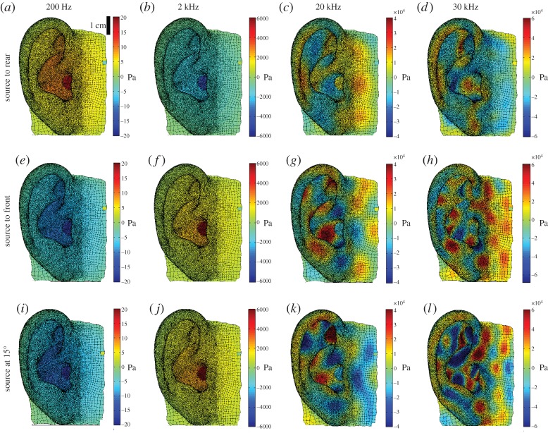 Figure 6.