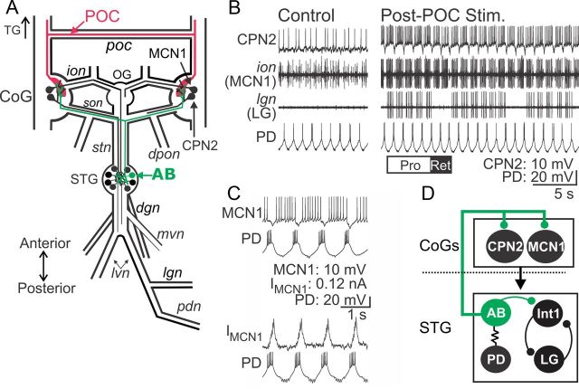 Figure 1.