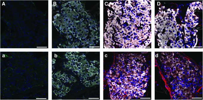 FIG. 6.