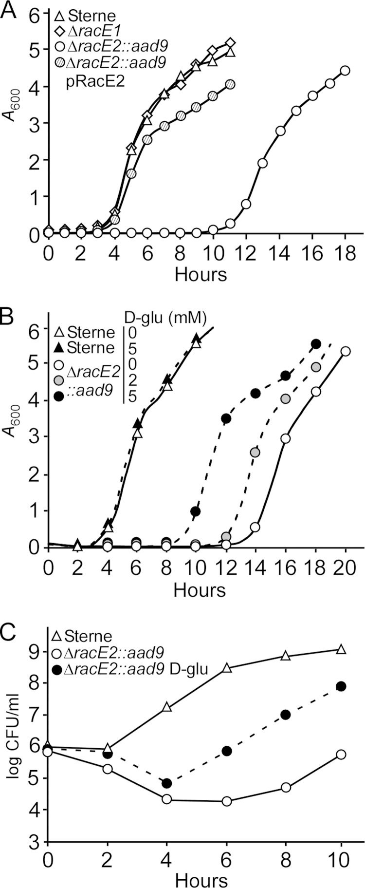 FIG 3