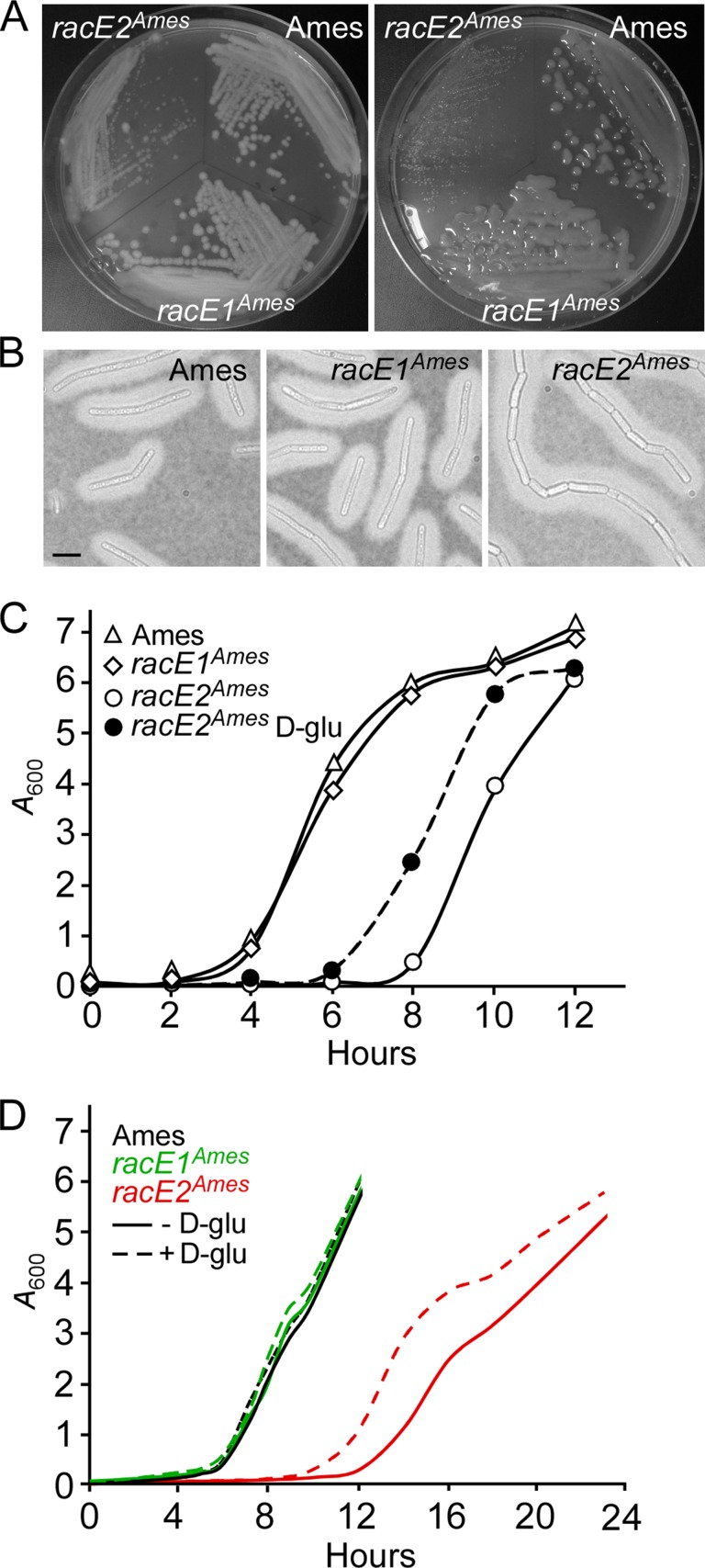 FIG 6