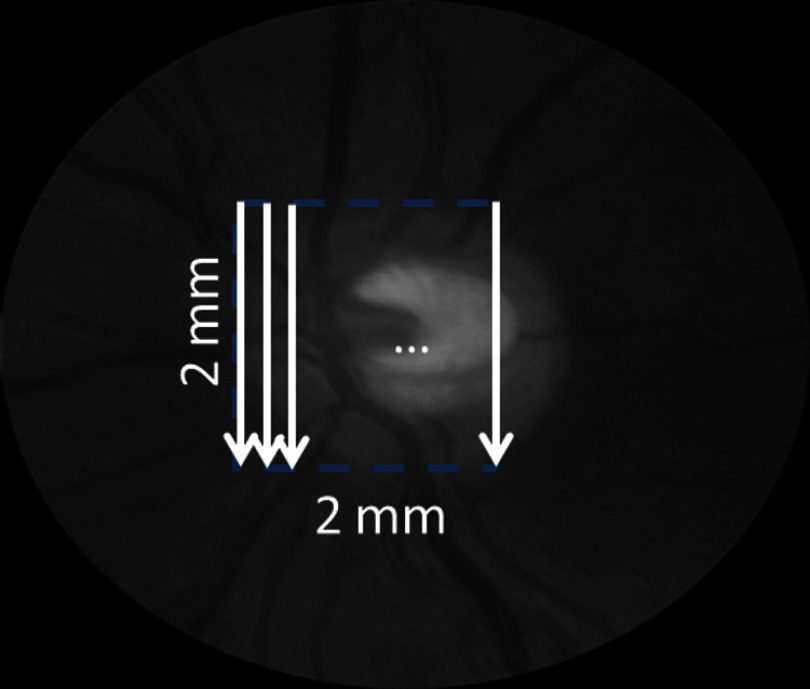 Fig. 2