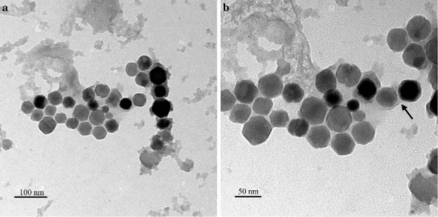 Fig. 1