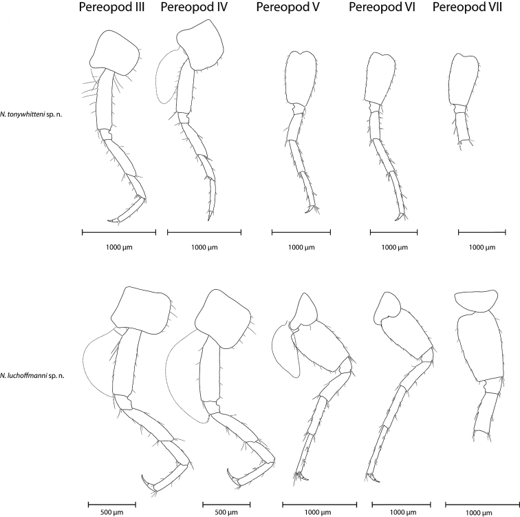 Figure 7.