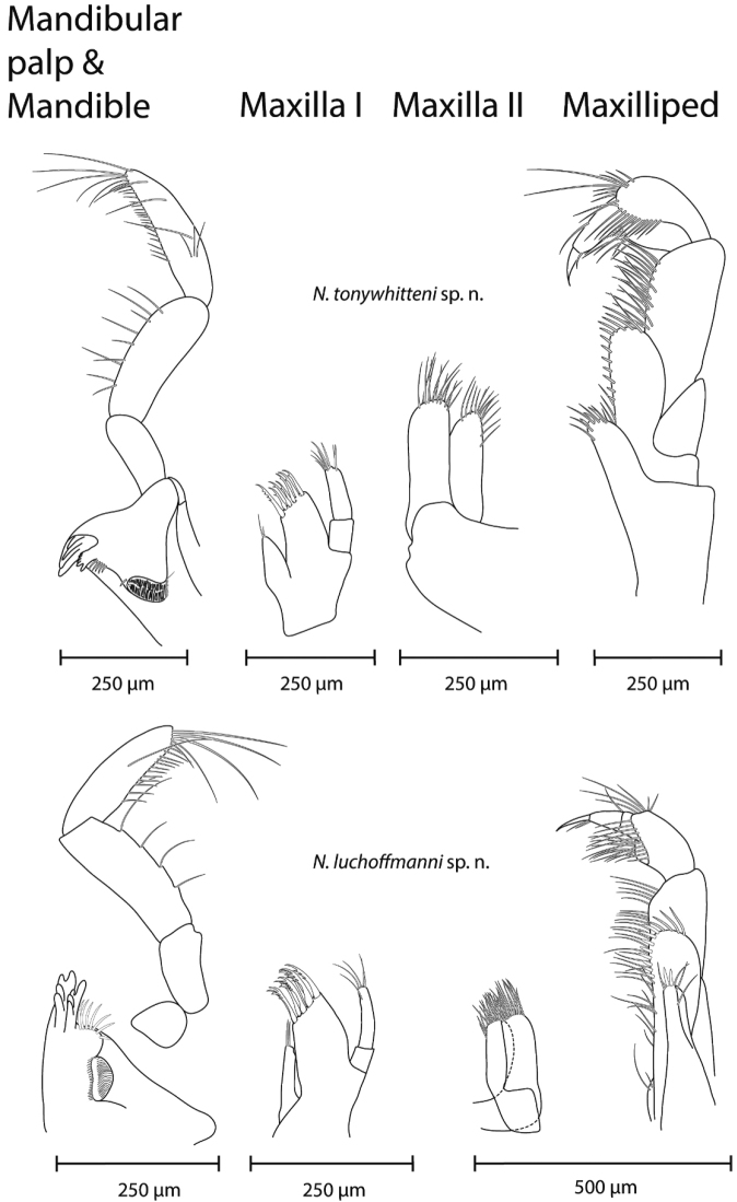 Figure 5.