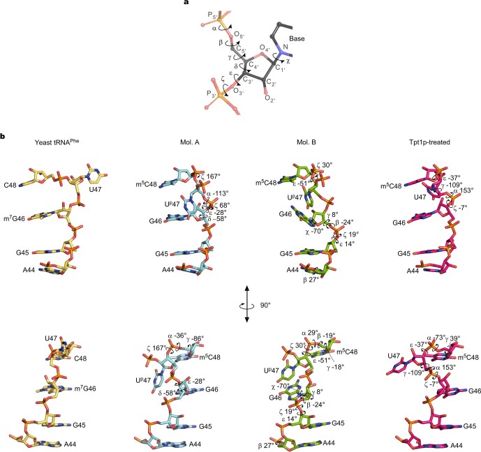 Extended Data Fig. 6