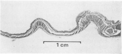 FIG. 7