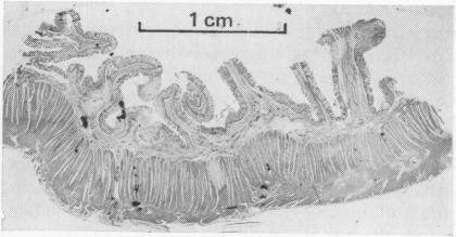 FIG. 9