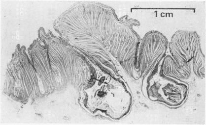 FIG. 6