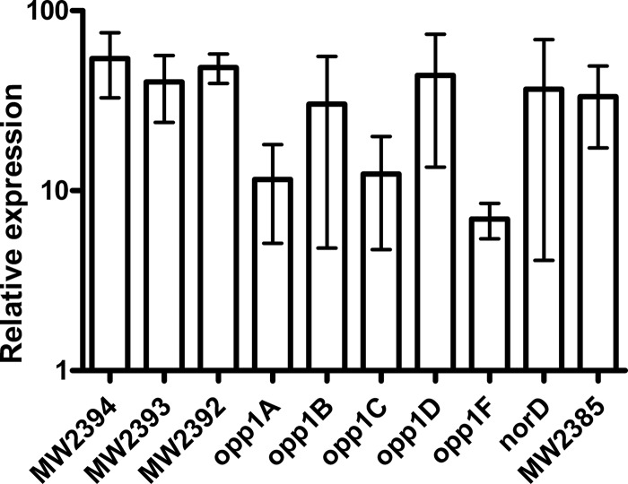 Fig 2