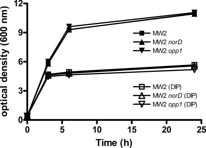 Fig 6