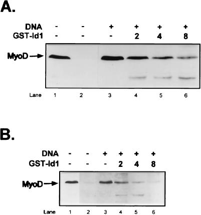 FIG. 7