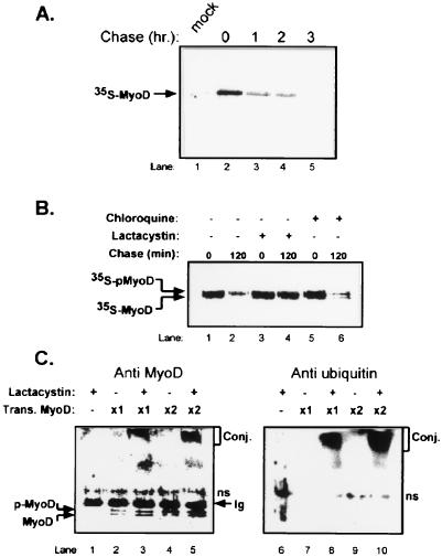 FIG. 1