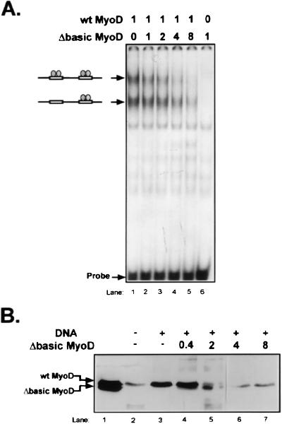 FIG. 8