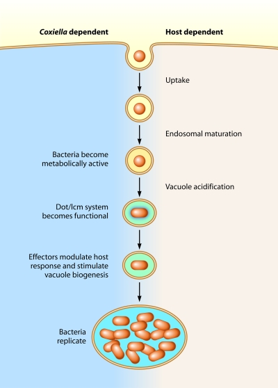 FIG 1 