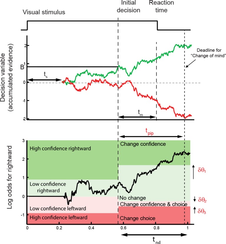 Figure 3—figure supplement 1.