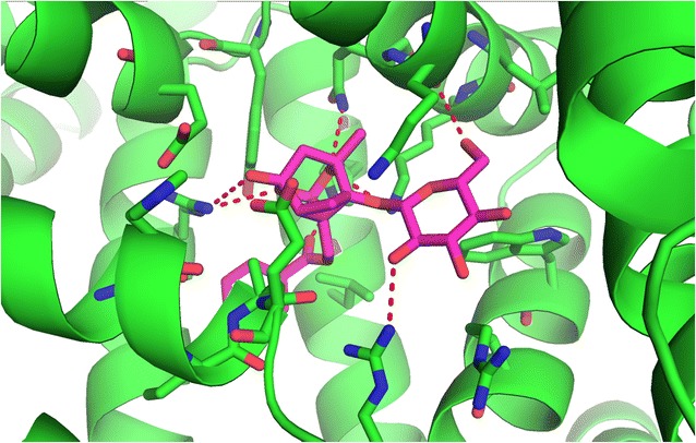 Fig. 12