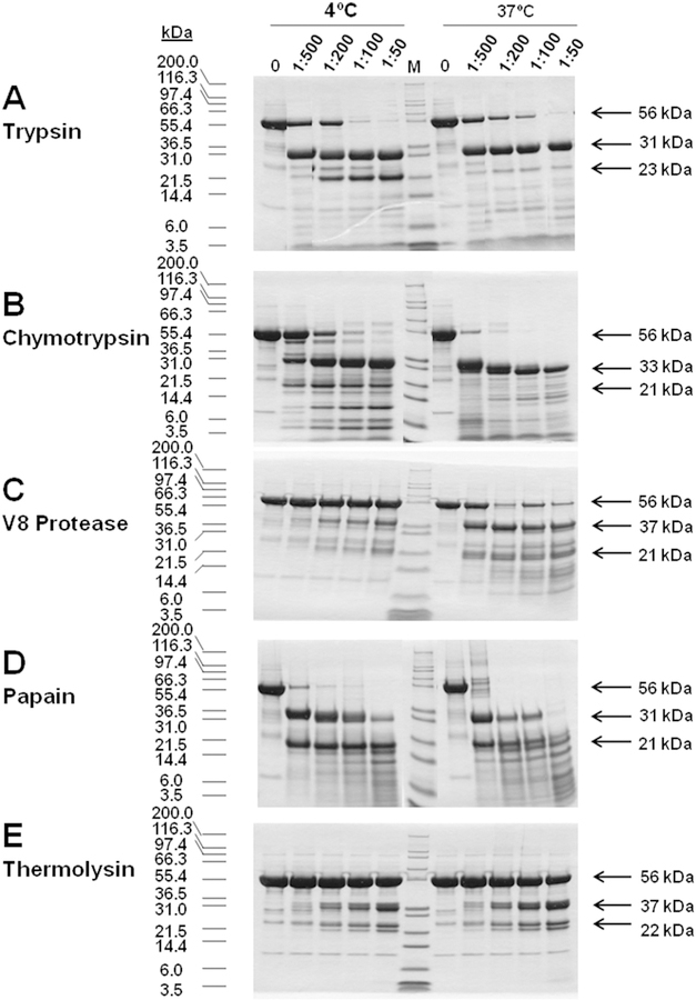 Fig. 5