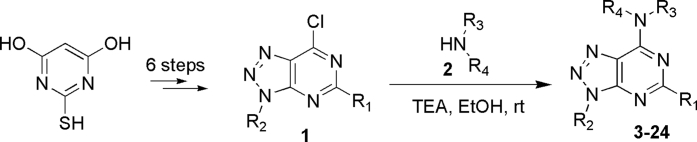 Scheme 1