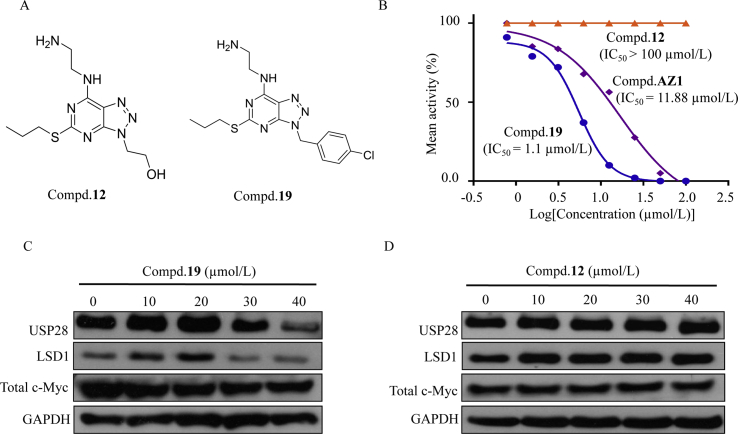 Figure 4